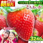 とちあいか 270g×4P×3