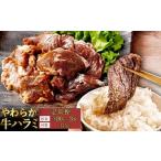 やわらか 牛ハラミ サガリ 肉 極旨秘伝醤油タレ漬け900g 30…