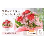ふるさと納税で楽しむ季節の花6ヶ月定期便Lサイズ