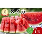 ふるさと納税 241.【先行予約】プレミアムスイカ 1玉◇※5月下旬〜8月中旬頃に順次発送予定(こちらの返礼品は、大栄西瓜ではありません) 鳥取県北栄町