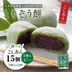 ともぞう餅 5個入3パック 白餅 よもぎ餅