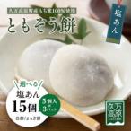 ともぞう餅 5個入3パック 白餅 よもぎ餅