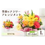 ふるさと納税 定期便 季節のフラワーアレンジメント L カラフル