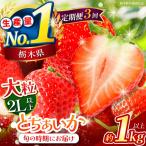苺 いちご 大粒とちあいか 約1000g