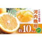ふるさと納税 訳あり 河内晩柑 約 10kg 熊本県玉名市