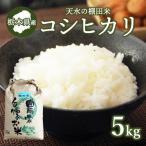 11-5 天水の棚田米 コシヒカリ 5kg
