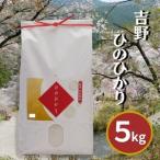 白米 ひのひかり 5kg