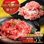 諫美牛 切り落とし 600g