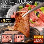 〈シャトーブリアン入り〉希少部位 焼肉