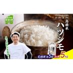 ハツシモ 高橋米 白米 大粒 ブランド米