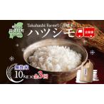 ハツシモ 高橋米 無洗米 大粒 ブランド米