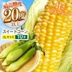 とうもろこし 10本