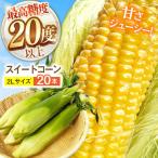 とうもろこし 20本