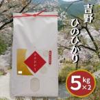 白米 ひのひかり 5kg×2袋