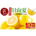 ふるさと納税 先行予約 訳あり 日向夏 計10kg以上 期間限定 数量限定 果物 フルーツ くだもの 柑橘 みかん 令和8年発送 ジュース フルーツサンド.. 宮崎県日南市
