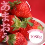 苺 あまおう 1080g