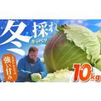 fu.... налог [ предшествующий предварительный заказ ] капуста 10kg [..][HDG001] Saga префектура . север блок 