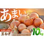 玉ねぎ 10kg