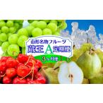 fu.... налог [ установленный срок рейс 3 раз ].... фрукты установленный срок рейс ~ магазин .~ Yamagata достопримечательность фрукты A FY25-343 Yamagata префектура Yamagata город 