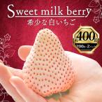 白いちご 400g