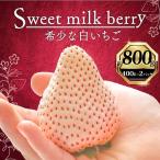 白いちご 800g