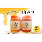 はちみつ 山みつ 1kg×2本