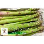 令和9年産 サイズ不揃い アスパラ1.2kg