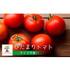 ふるさと納税 《先行予約》サイズ 不揃い トマト 1.7kg  訳あり トマト[ Q1824wx_26] 岐阜県飛騨市