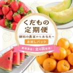 くだもの定期便 お試しパック フルーツ 果物