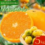 越冬早生みかん5kg