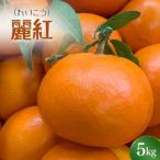 れいこう 麗紅 5kg