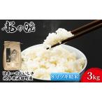 ふるさと納税 米 3kg 龍の瞳 池田町産 日本人が最も好む希少米 大粒 栄養価の高い 8分づき 分つき精米 お米 おこめ こめ コメ ごはん ご飯 低農.. 岐阜県池田町
