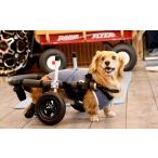 fu.... налог Dux fndo для 2 колесо инвалидная коляска ( масса 15 kilo и меньше ) [!.. перед тем предприниматель . консультации необходимо!] собака для инвалидная коляска li - bili такса приспособление для ходьбы.. Gifu префектура Ikeda блок 