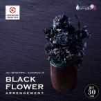fu.... налог SL0271 чёрный . цветок Zero цветок [BLACK FLOWER ARRENGEMENT] Yamagata префектура sake рисовое поле город 