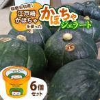 江戸崎かぼちゃを使った かぼちゃジェラート
