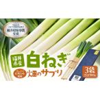ビタミンCと葉酸 畑のサプリ白ネギ 食べきり3袋