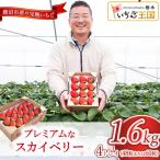 プレミアム いちご スカイベリー 4トレイ1600g