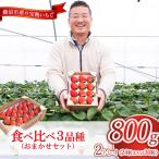 いちご食べ比べ3品種 おまかせセット 2トレイ800g