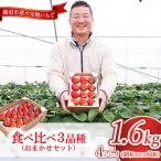 いちご 食べ比べ 3品種 4トレイ1600g