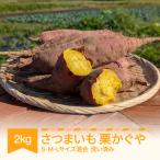 栗かぐや 洗い済み 約2kg