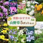 fu.... налог сезон. рекомендация луговые и горные травы 5 pot комплект Hokkaido город Sapporo 
