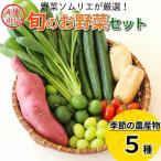 野菜 5種セット 旬の野菜 詰め合わせ おまかせ