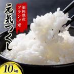 米 元気つくし米 10kg