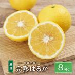 完熟はるか 8kg