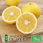 完熟はるか 9kg