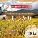 1111.令和6年産こしひかり精米10kg