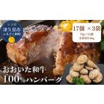 ハンバーグ おおいた和牛100% 約70g×51個