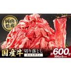 牛肉 切り落とし 600g