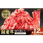 牛肉 肉 牛 切り落とし ホルスタイン 小分け1.2kg 300g×4