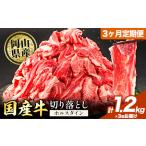 牛肉 肉 牛 切り落とし ホルスタイン 小分け 1.2kg
